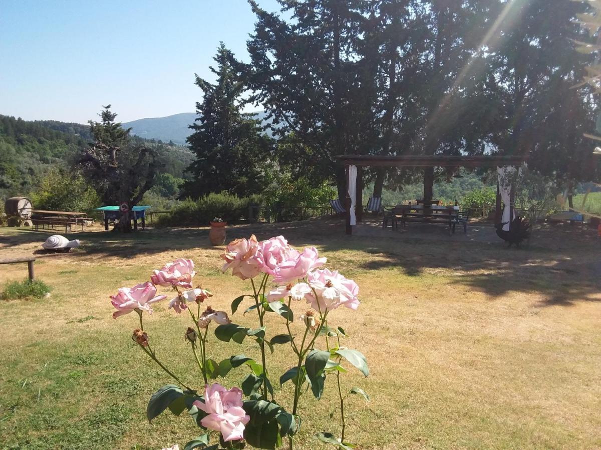Agriturismo Podere Somigli Di Lorenzo Correani Hotel Greve in Chianti Exterior foto