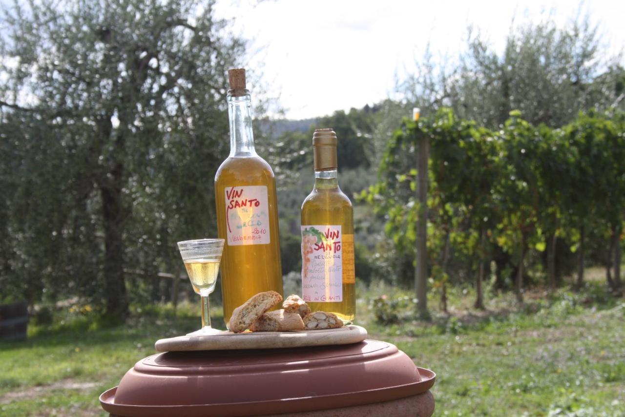 Agriturismo Podere Somigli Di Lorenzo Correani Hotel Greve in Chianti Exterior foto